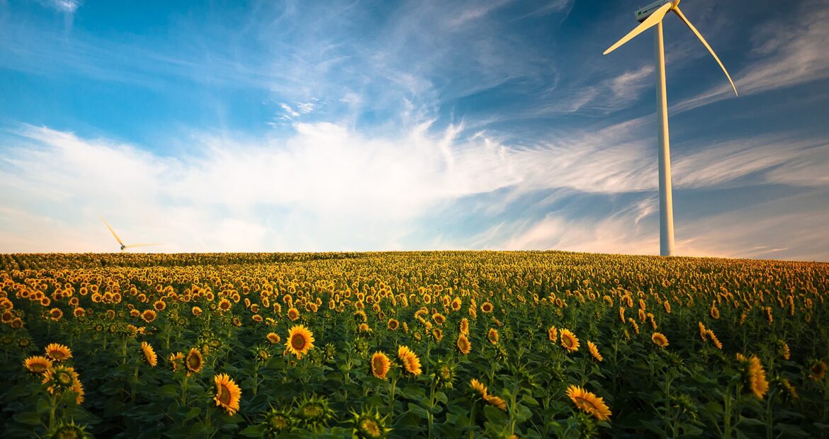 Australian Flow Batteries